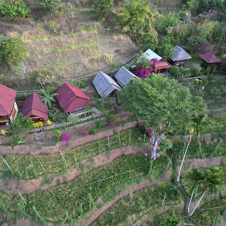 Rinjani Mountain Garden Hotell Bayan Eksteriør bilde
