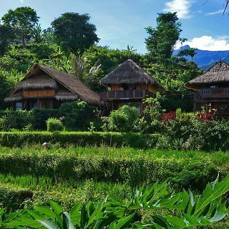 Rinjani Mountain Garden Hotell Bayan Eksteriør bilde