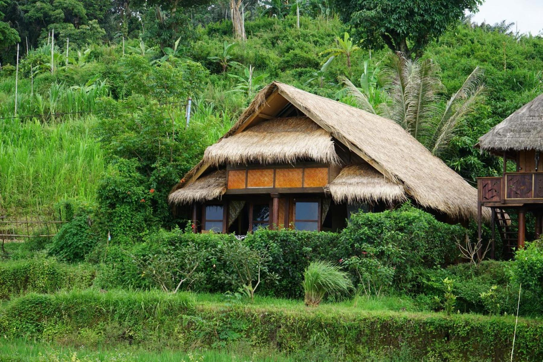 Rinjani Mountain Garden Hotell Bayan Eksteriør bilde