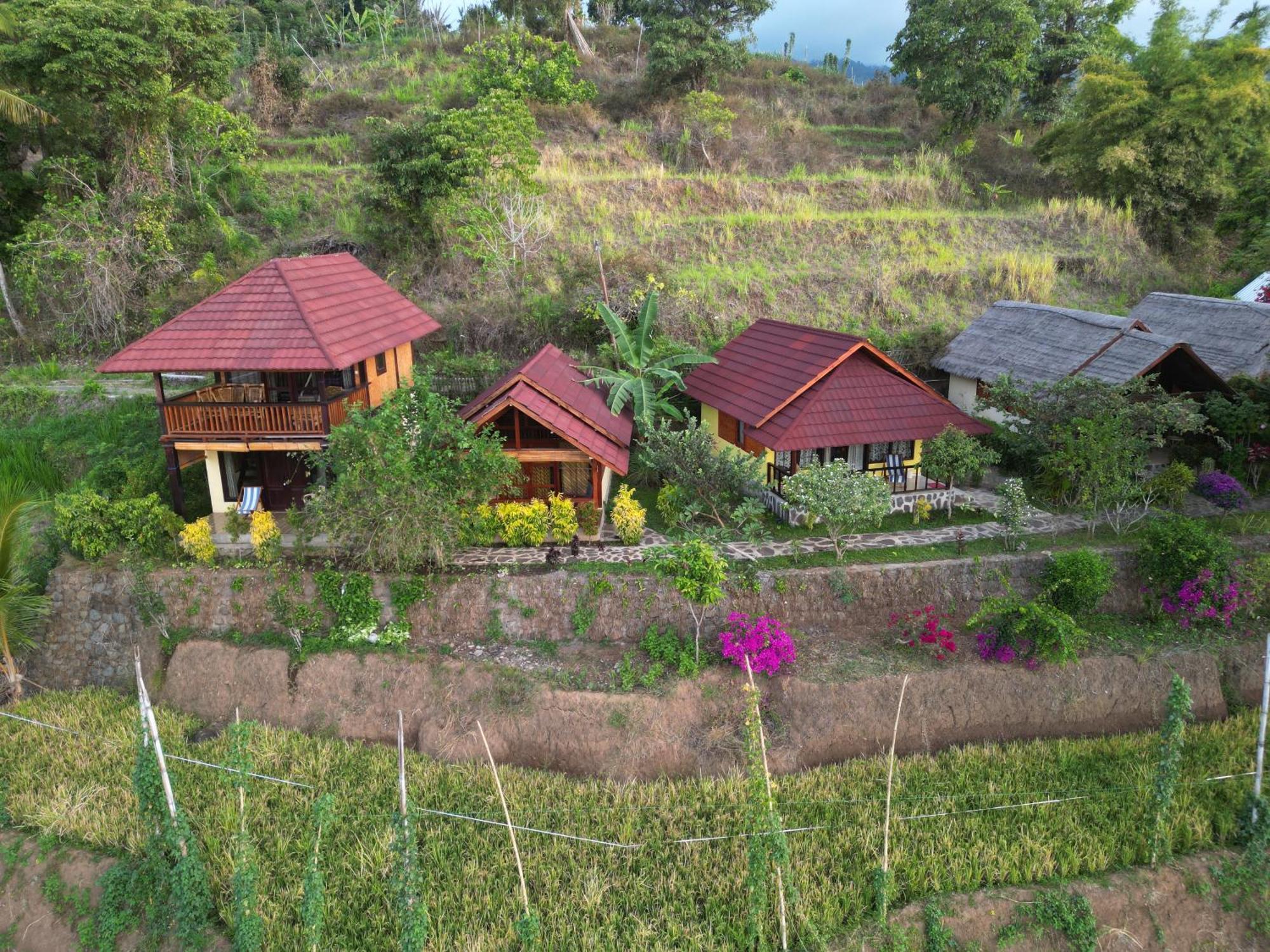Rinjani Mountain Garden Hotell Bayan Eksteriør bilde