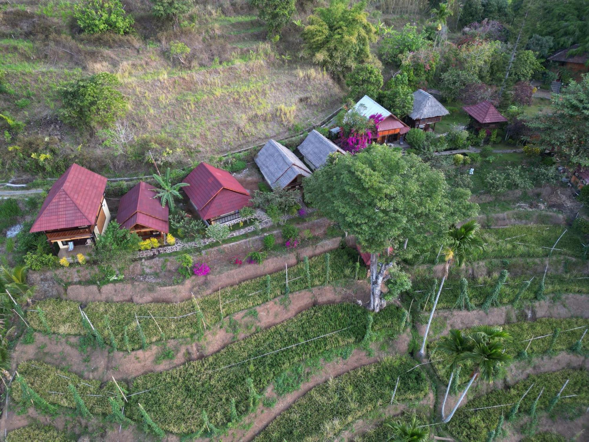 Rinjani Mountain Garden Hotell Bayan Eksteriør bilde