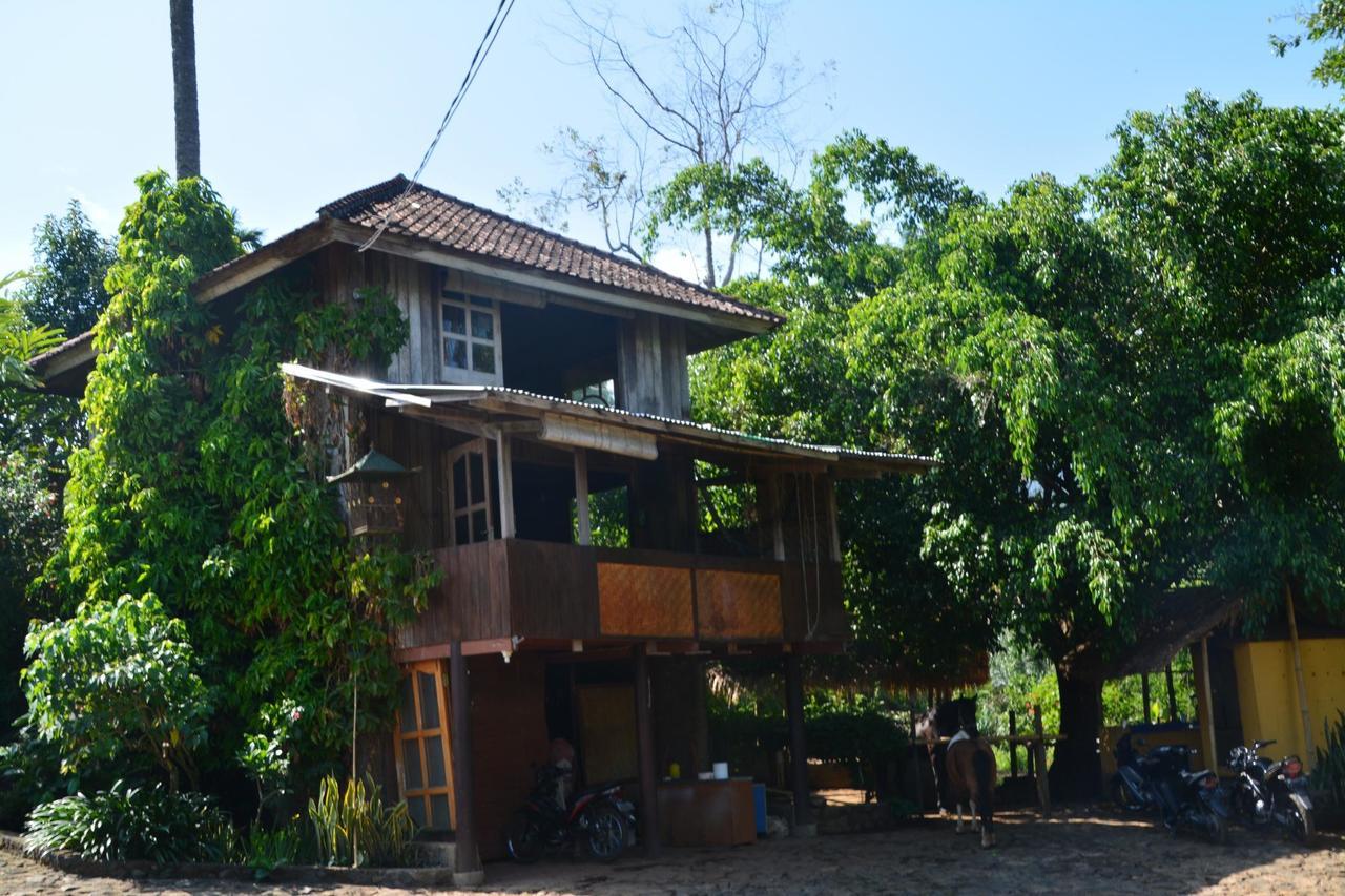 Rinjani Mountain Garden Hotell Bayan Eksteriør bilde