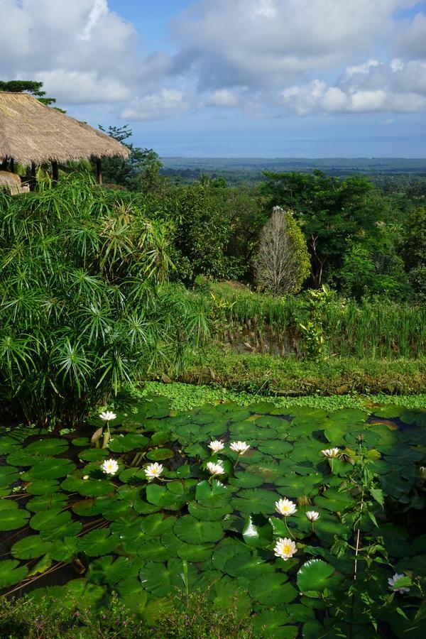 Rinjani Mountain Garden Hotell Bayan Eksteriør bilde