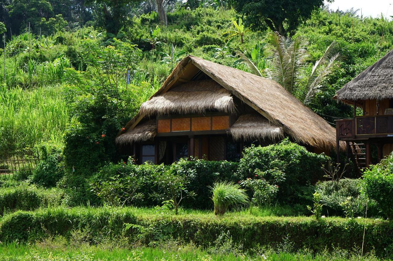 Rinjani Mountain Garden Hotell Bayan Eksteriør bilde