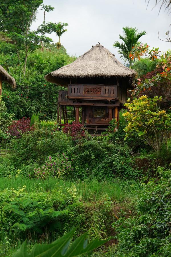 Rinjani Mountain Garden Hotell Bayan Eksteriør bilde