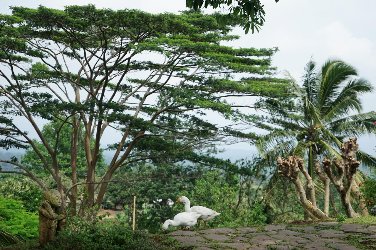 Rinjani Mountain Garden Hotell Bayan Eksteriør bilde