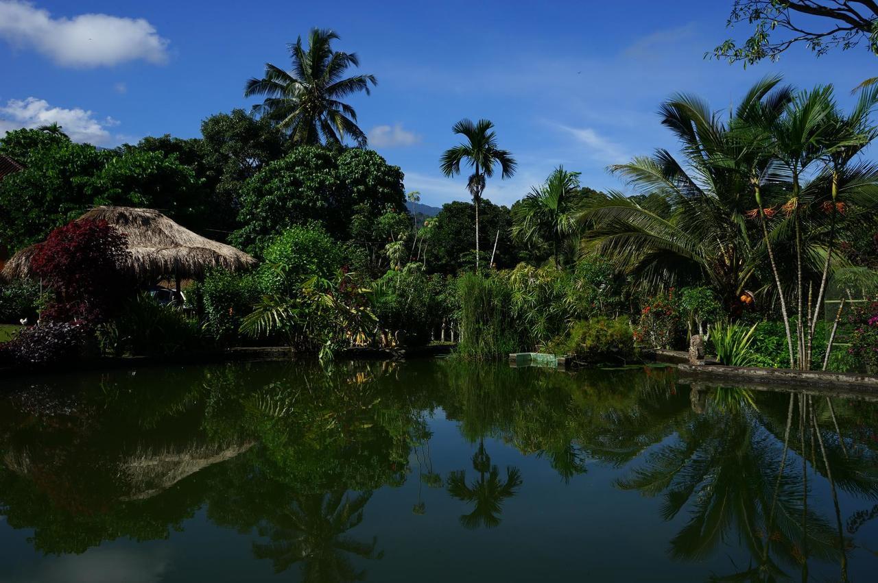 Rinjani Mountain Garden Hotell Bayan Eksteriør bilde