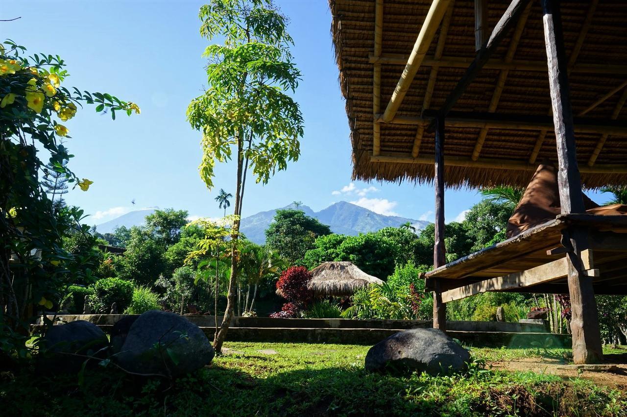 Rinjani Mountain Garden Hotell Bayan Eksteriør bilde
